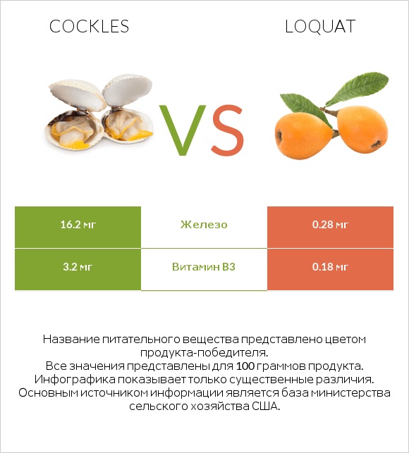 Cockles vs Loquat infographic