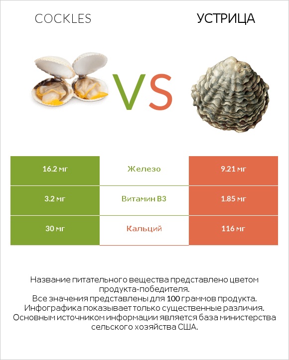 Cockles vs Устрица infographic