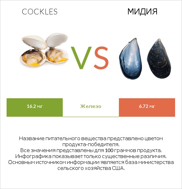 Cockles vs Мидия infographic