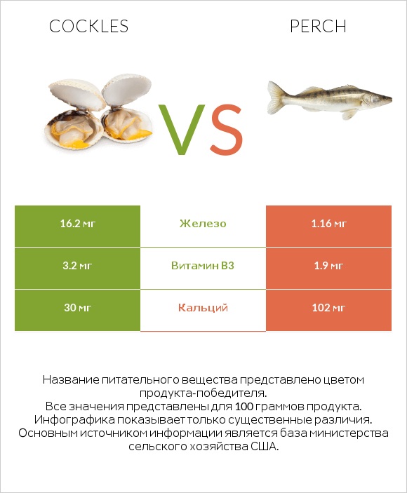 Cockles vs Perch infographic