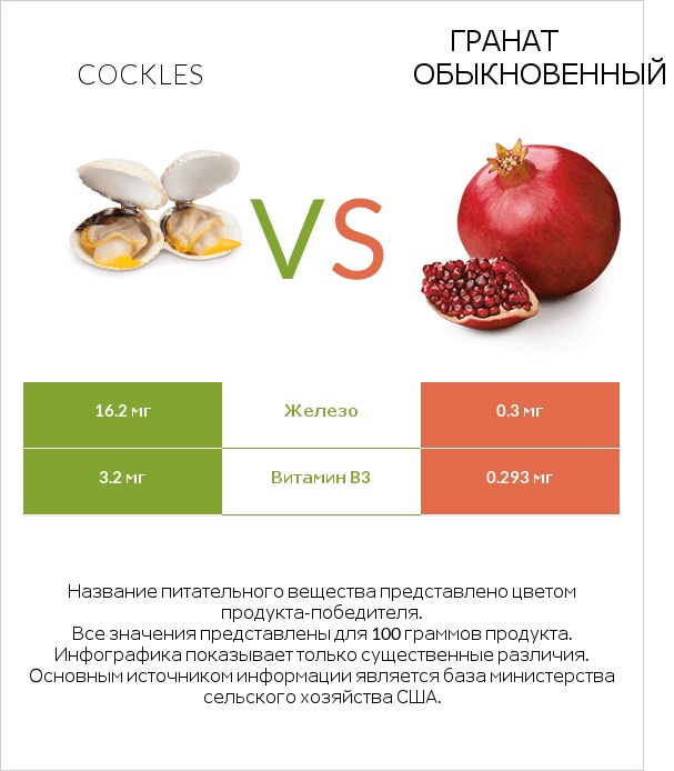 Cockles vs Гранат обыкновенный infographic