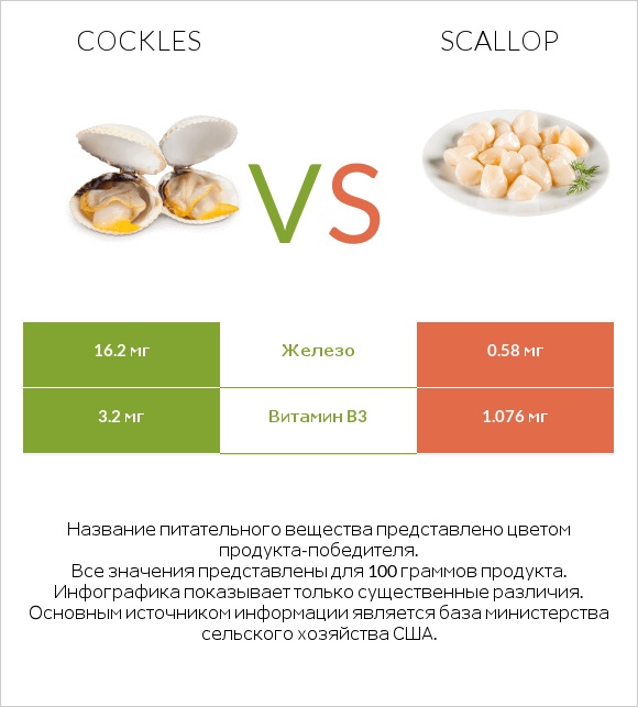 Cockles vs Scallop infographic