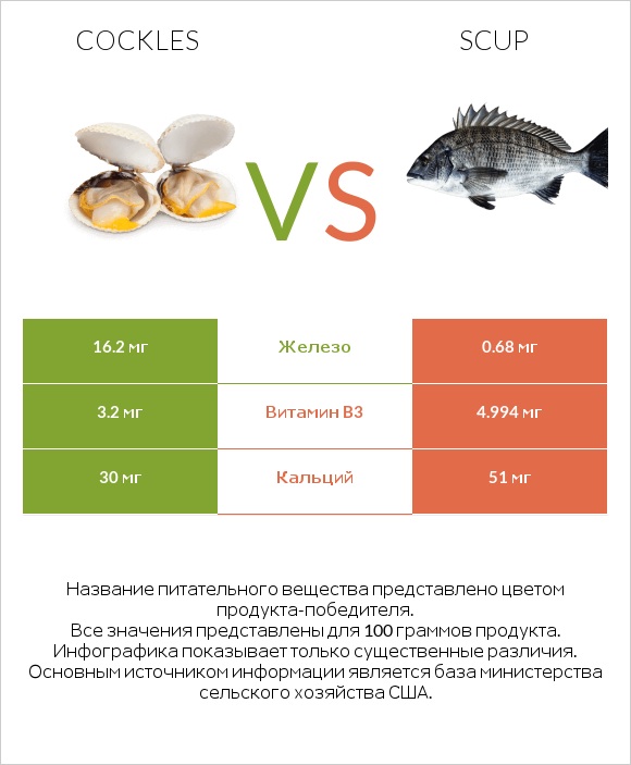 Cockles vs Scup infographic