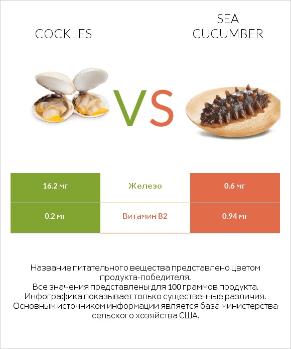 Cockles vs Sea cucumber infographic