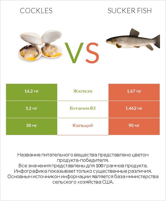 Cockles vs Sucker fish infographic