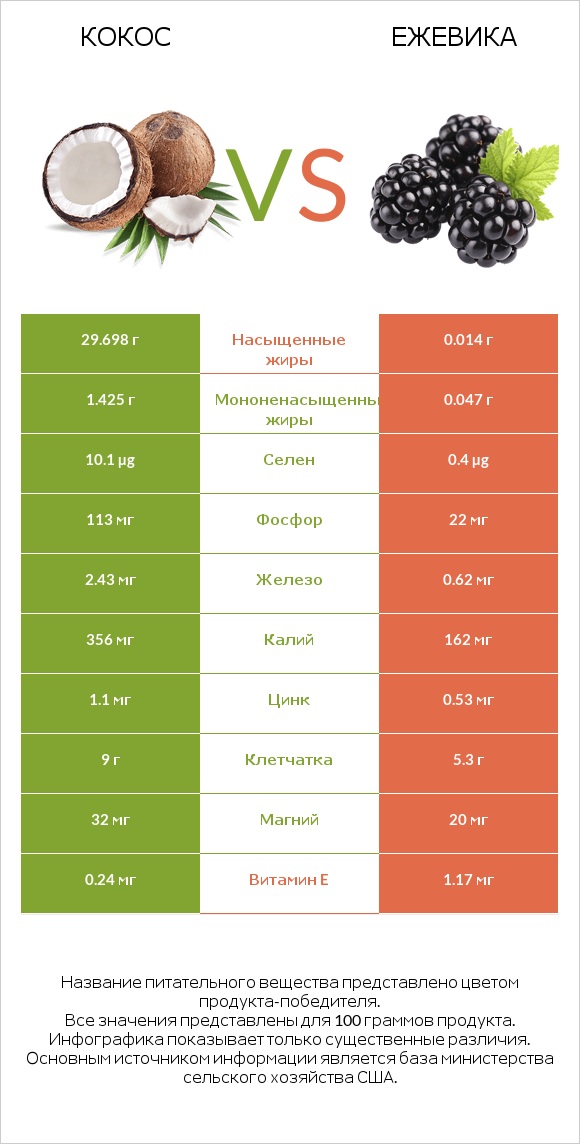 Кокос vs Ежевика infographic