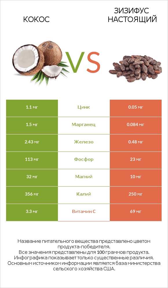 Кокос vs Зизифус настоящий infographic