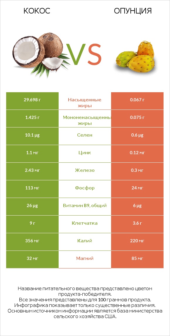 Кокос vs Опунция infographic