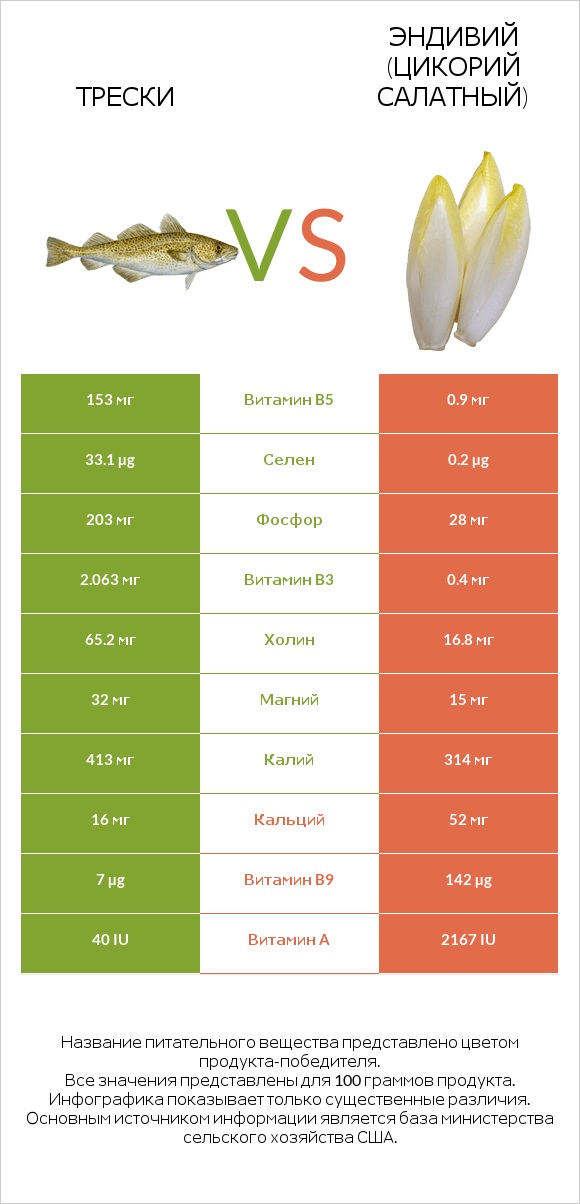 Трески vs Эндивий (Цикорий салатный)  infographic