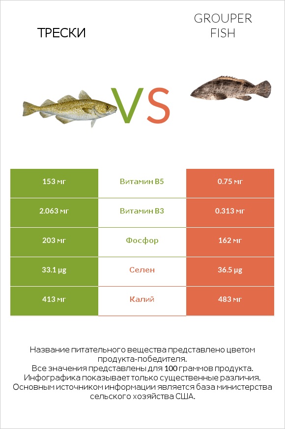 Трески vs Grouper fish infographic