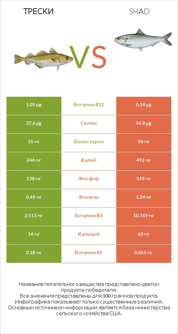 Трески vs Shad infographic