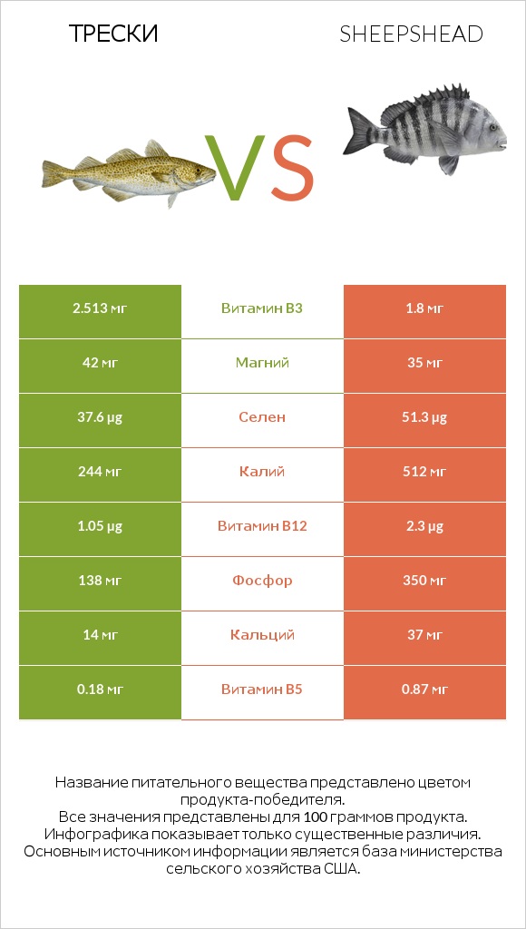 Трески vs Sheepshead infographic