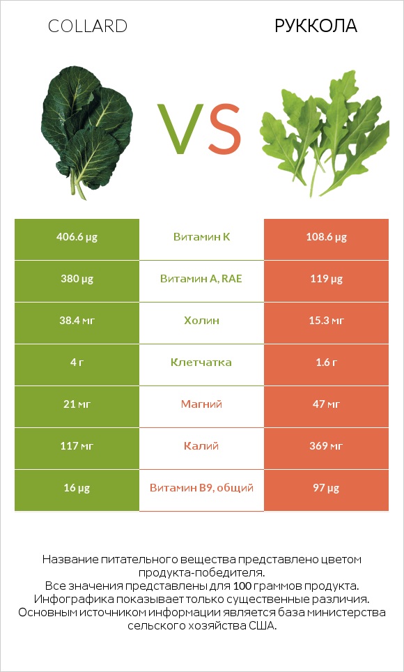 Коллард (капуста листовая) vs Руккола infographic