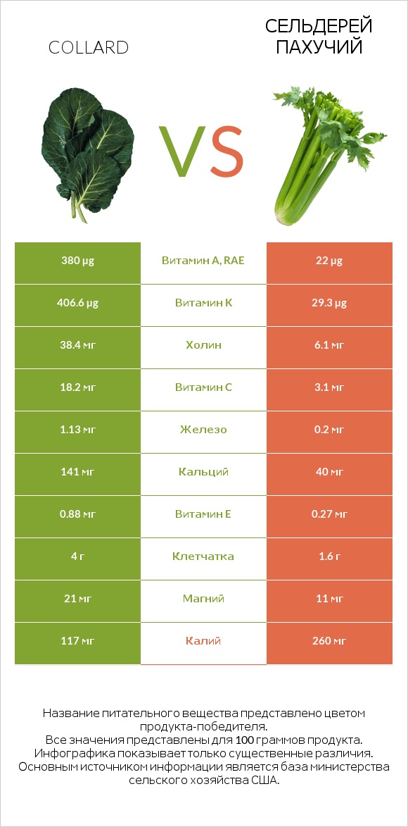 Коллард (капуста листовая) vs Сельдерей пахучий infographic