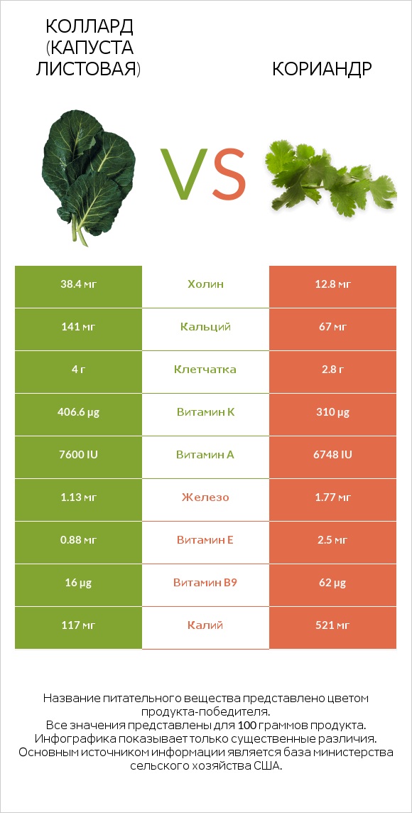 Коллард (капуста листовая) vs Кориандр infographic