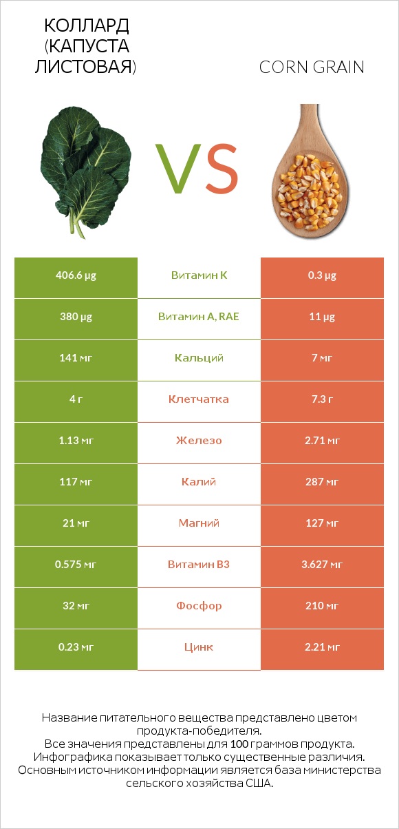 Коллард (капуста листовая) vs Corn grain infographic