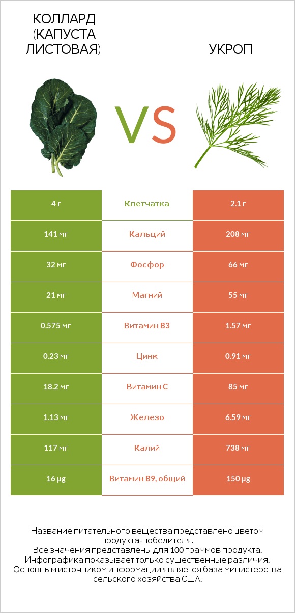 Коллард (капуста листовая) vs Укроп infographic