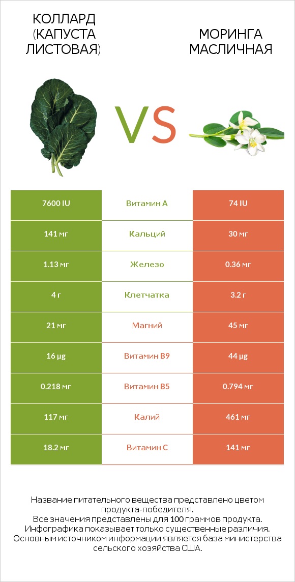 Collard vs Моринга масличная infographic