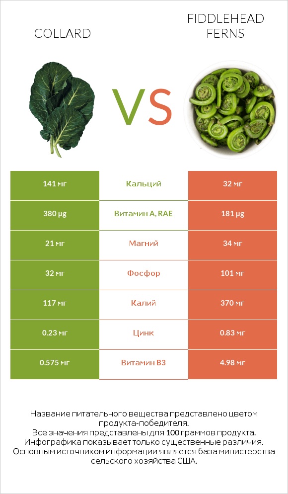 Collard vs Fiddlehead ferns infographic