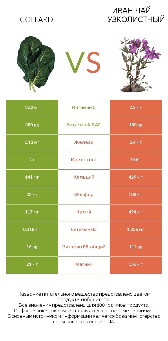 Коллард (капуста листовая) vs Иван-чай узколистный infographic