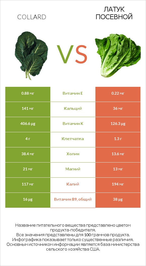 Коллард (капуста листовая) vs Латук посевной infographic