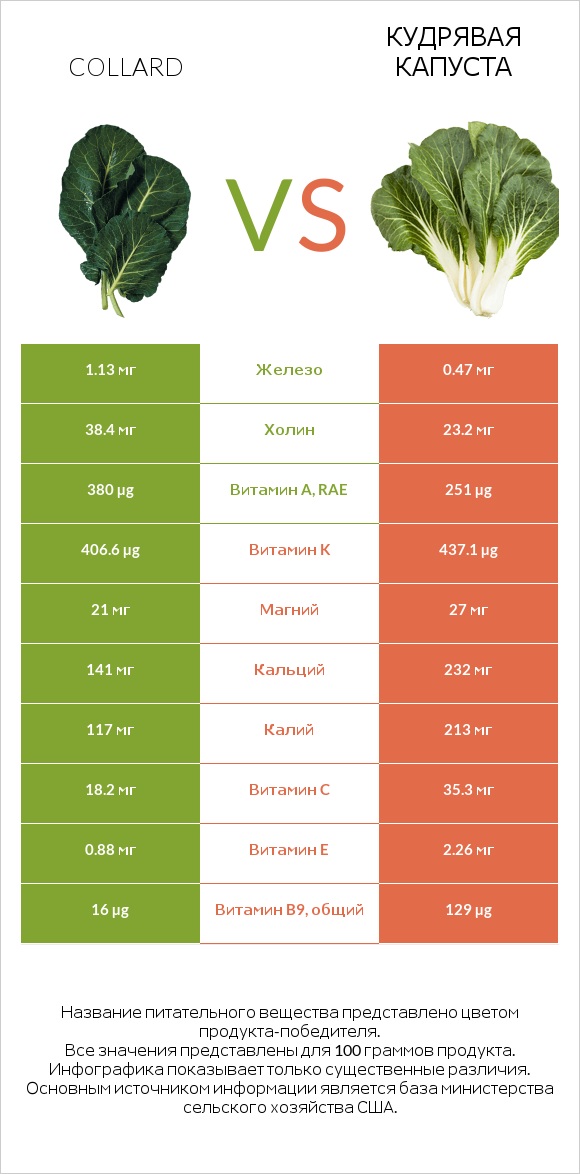 Коллард (капуста листовая) vs Кудрявая капуста infographic