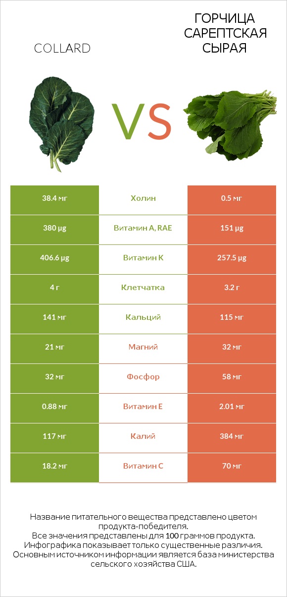 Коллард (капуста листовая) vs Горчица сарептская сырая infographic