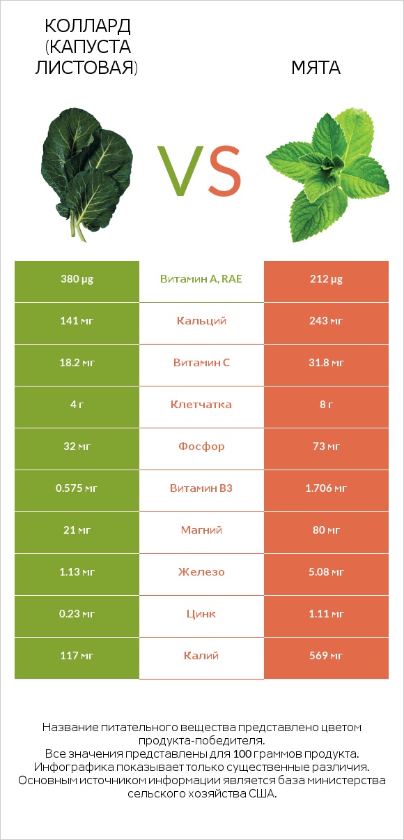 Коллард (капуста листовая) vs Мята infographic