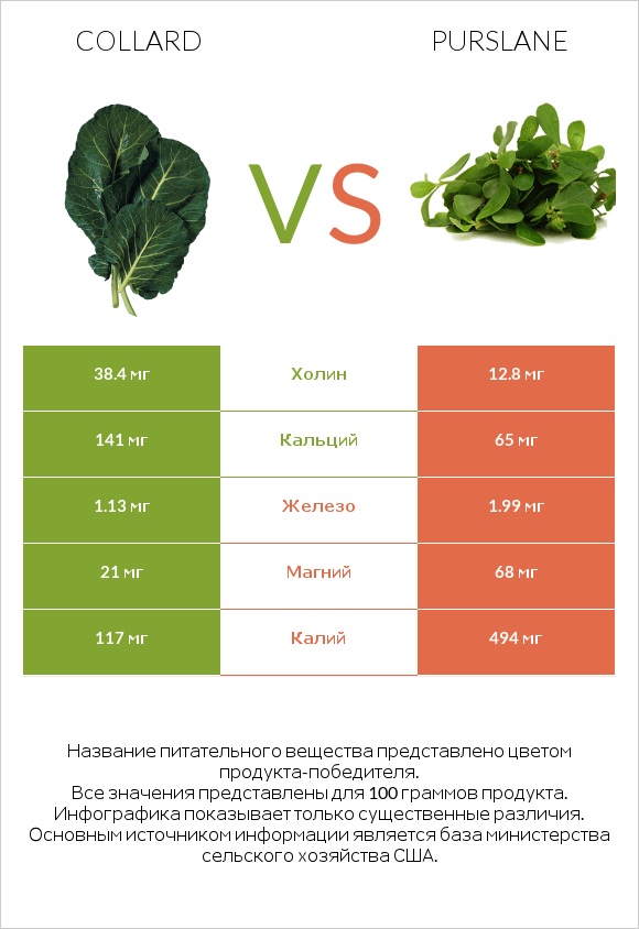 Коллард (капуста листовая) vs Портулак огородный infographic