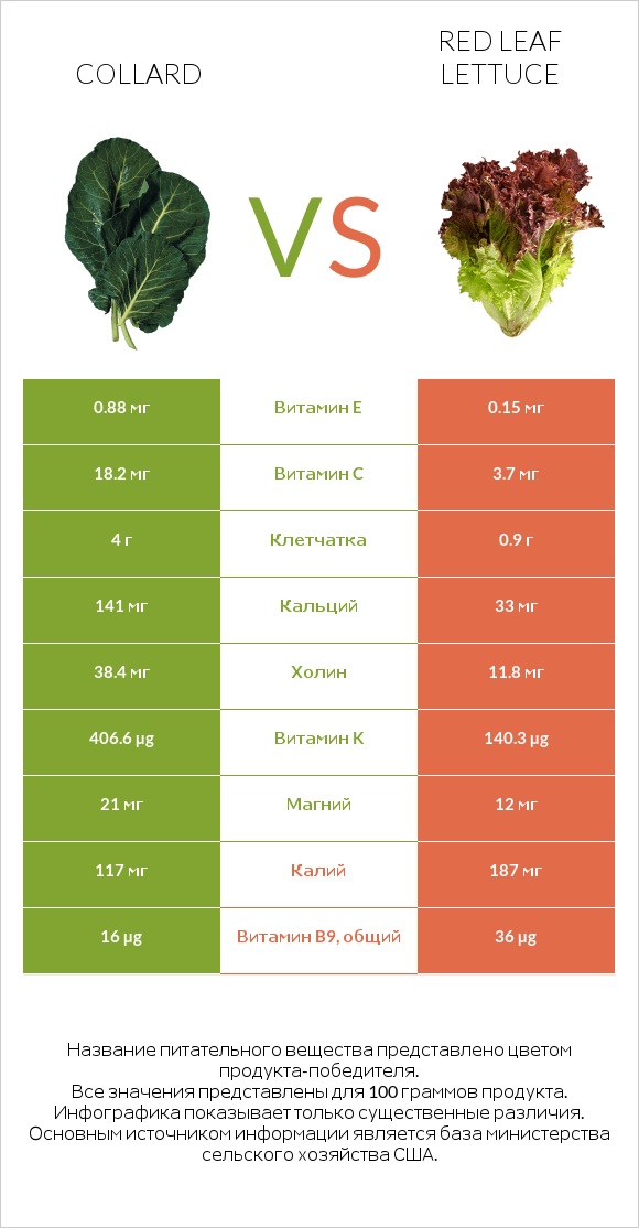 Collard vs Red leaf lettuce infographic