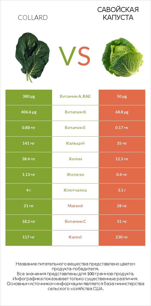 Collard vs Савойская капуста infographic