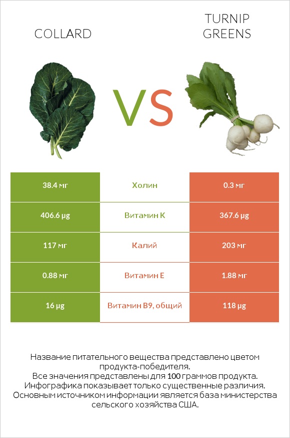 Collard vs Turnip greens infographic