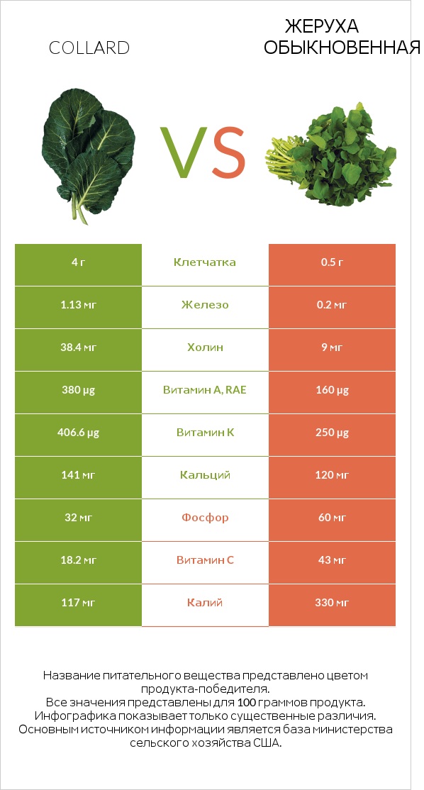 Коллард (капуста листовая) vs Жеруха обыкновенная infographic