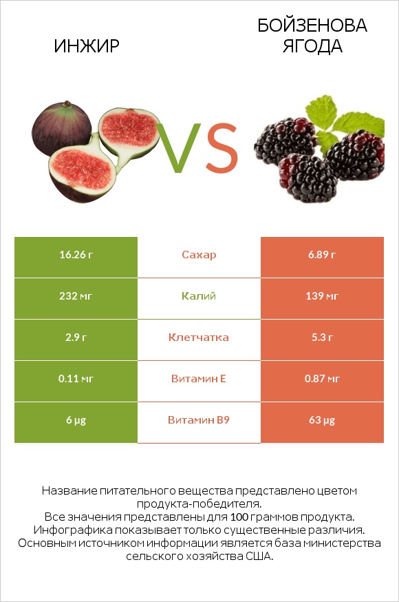 Инжир vs Бойзенова ягода infographic