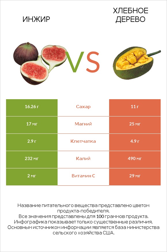 Инжир vs Хлебное дерево infographic