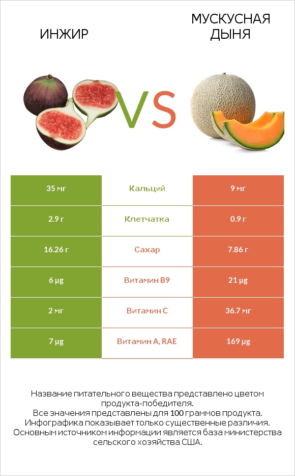 Инжир vs Мускусная дыня infographic