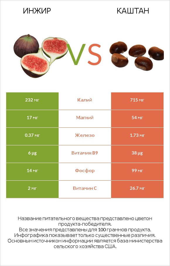 Инжир vs Каштан infographic