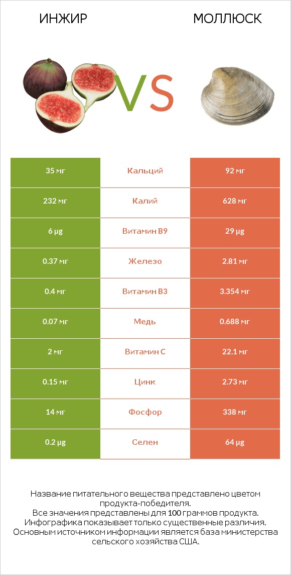 Инжир vs Моллюск infographic