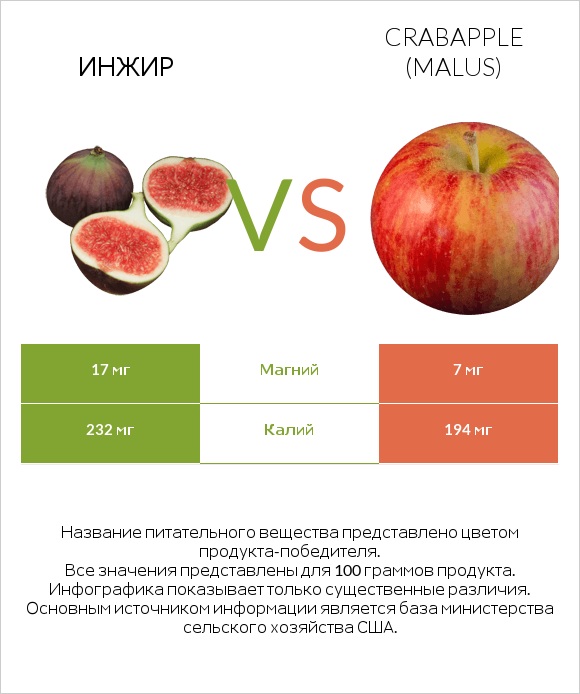 Инжир vs Crabapple (Malus) infographic