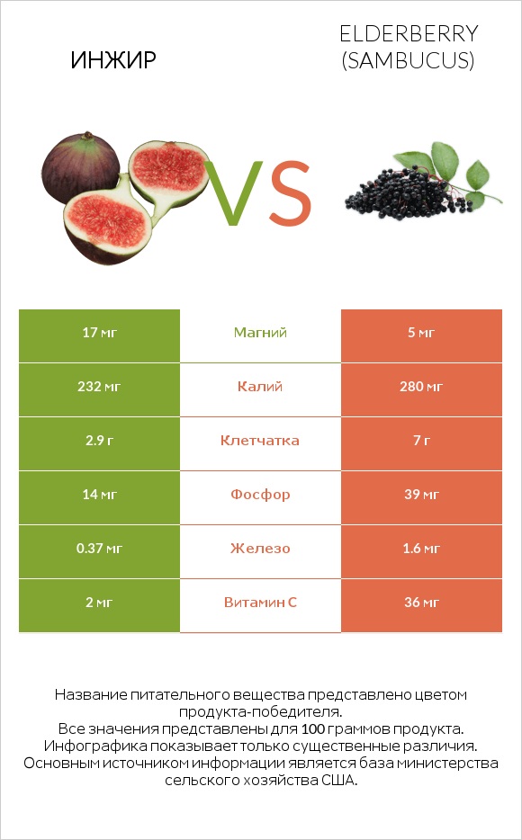 Инжир vs Elderberry infographic