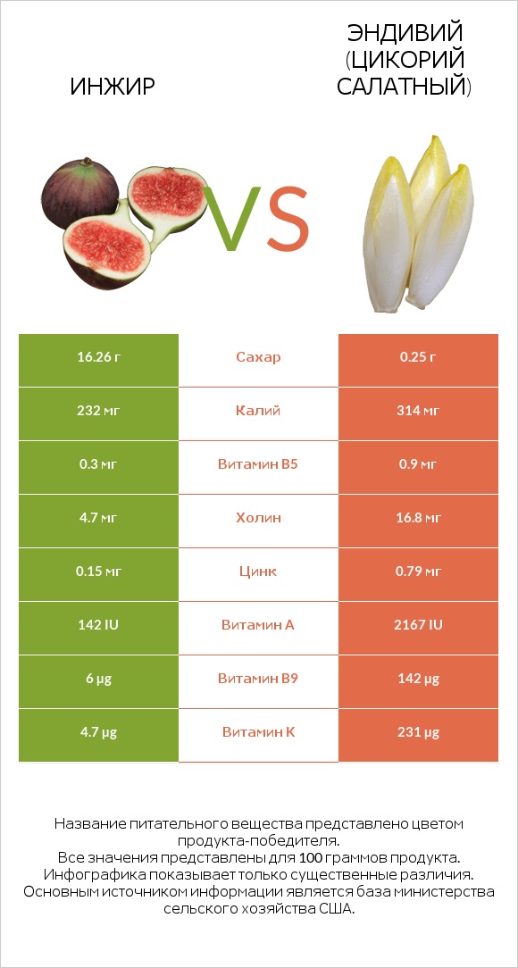 Инжир vs Эндивий (Цикорий салатный)  infographic