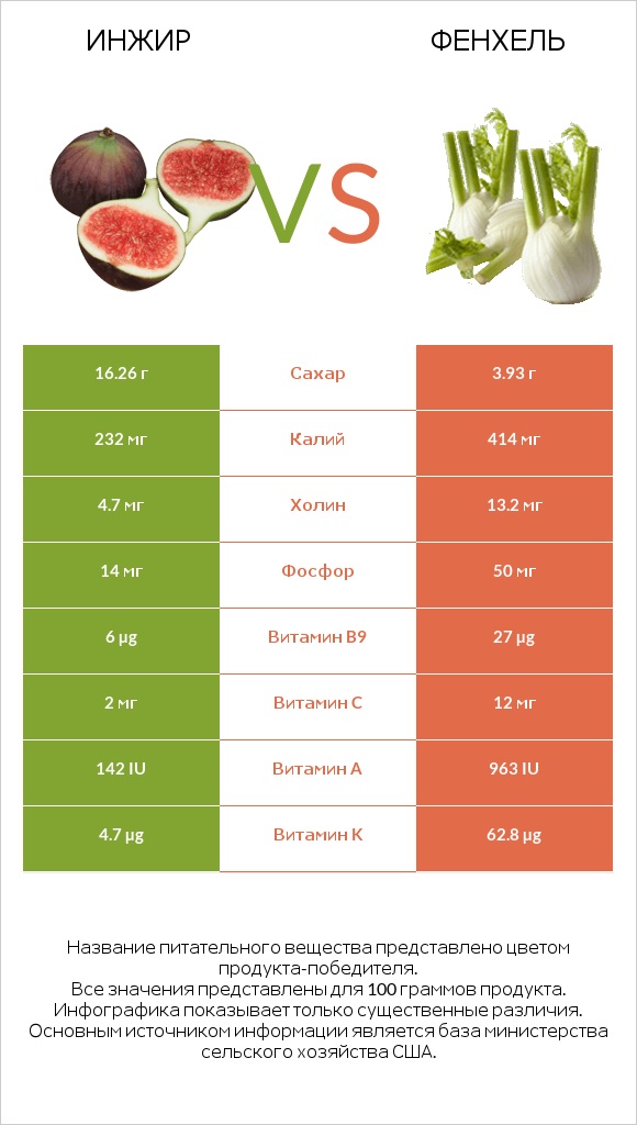 Инжир vs Фенхель infographic