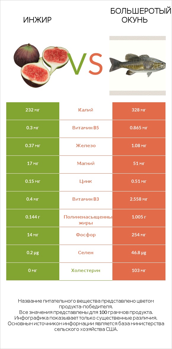 Инжир vs Большеротый окунь infographic