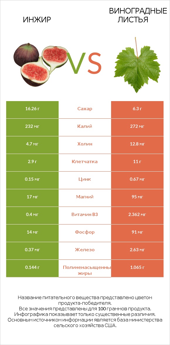 Инжир vs Виноградные листья infographic