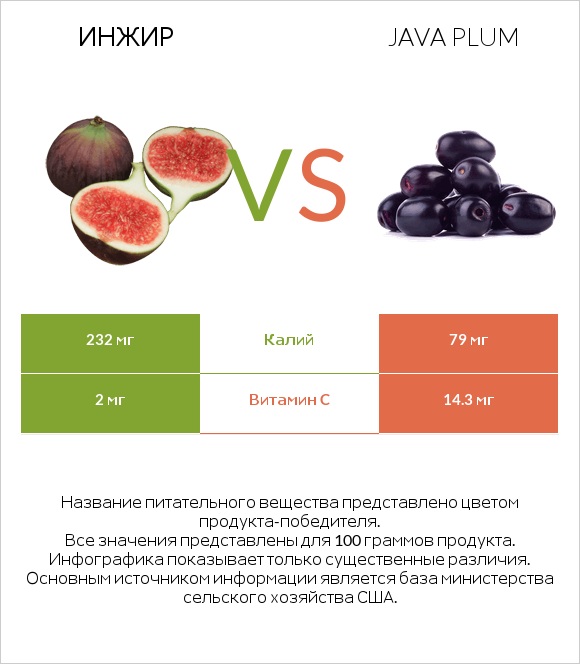 Инжир vs Java plum infographic