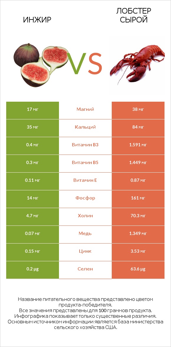 Инжир vs Лобстер сырой infographic