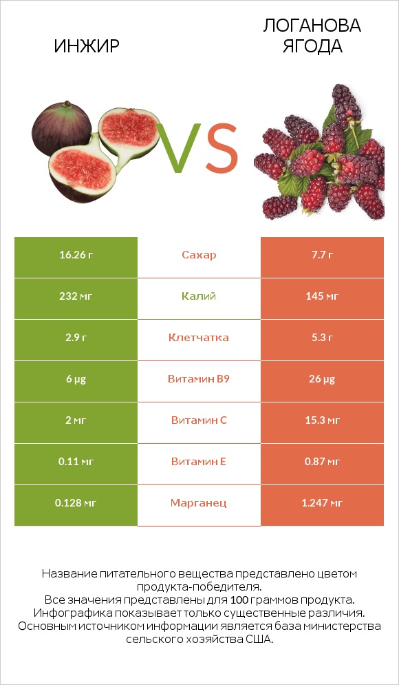 Инжир vs Логанова ягода infographic