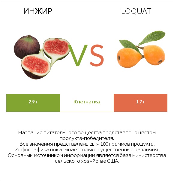 Инжир vs Loquat infographic