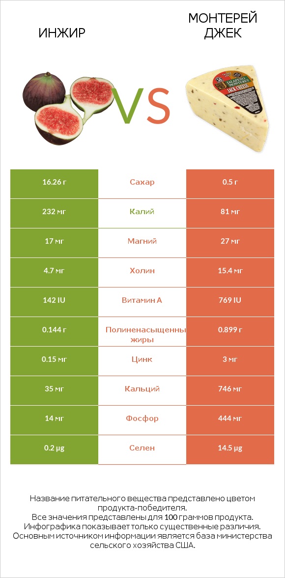 Инжир vs Монтерей Джек infographic