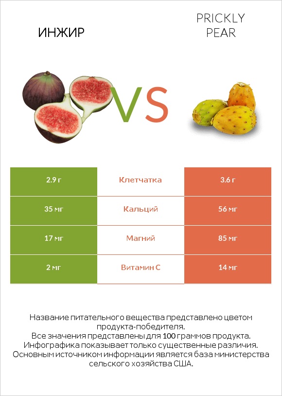 Инжир vs Prickly pear infographic